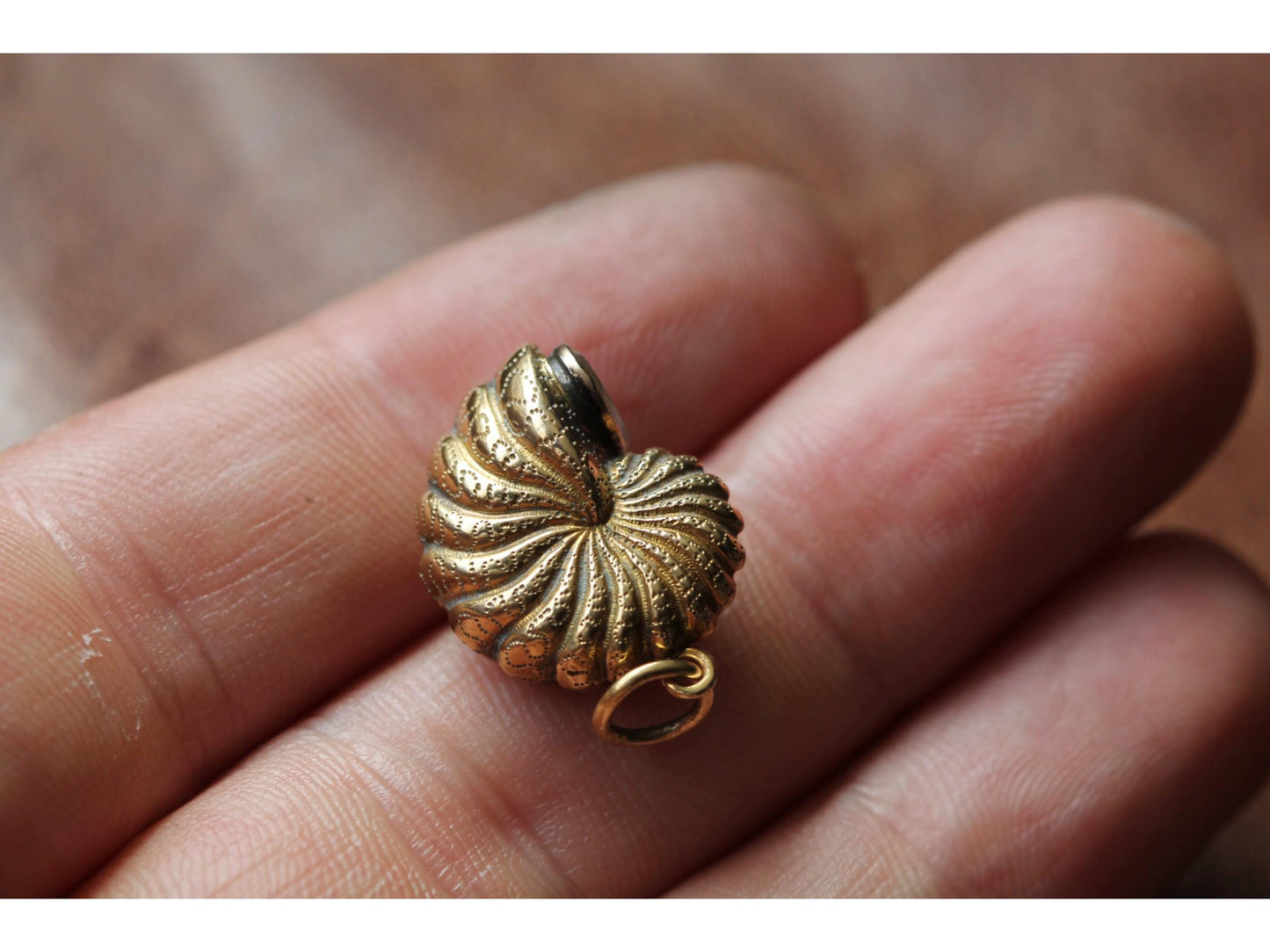 Antique 15ct Gold Shell Pendant Locket