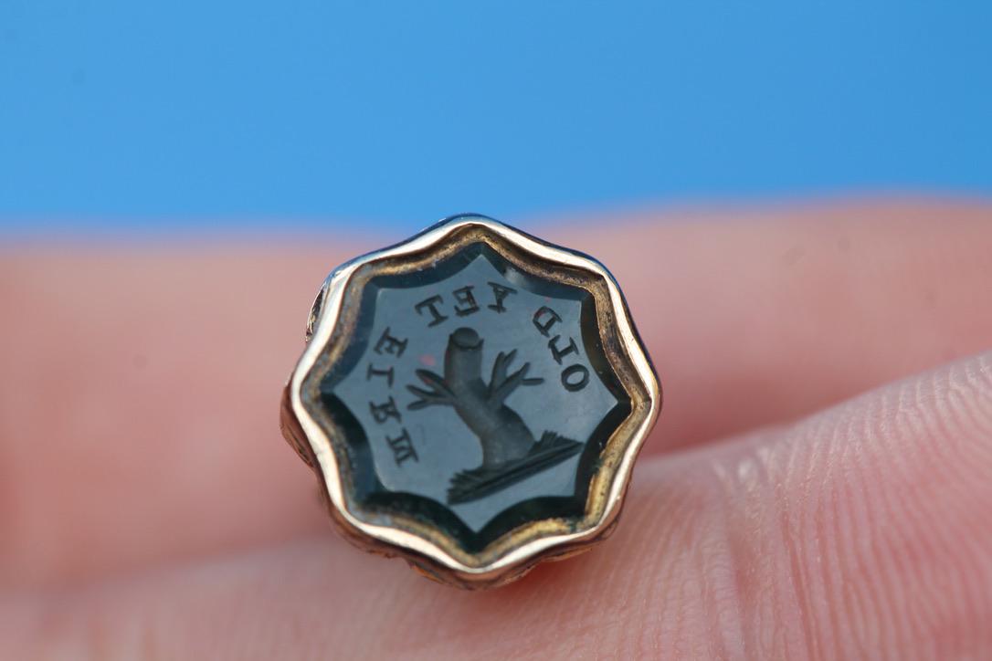 Antique Bloodstone Intaglio Seal | Old Yet Firm | 9ct Rolled Gold Victorian Fob c.1860 — view 7