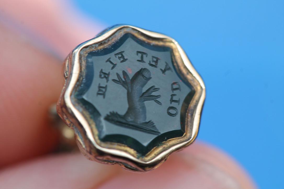 Antique Bloodstone Intaglio Seal | Old Yet Firm | 9ct Rolled Gold Victorian Fob c.1860 — view 11