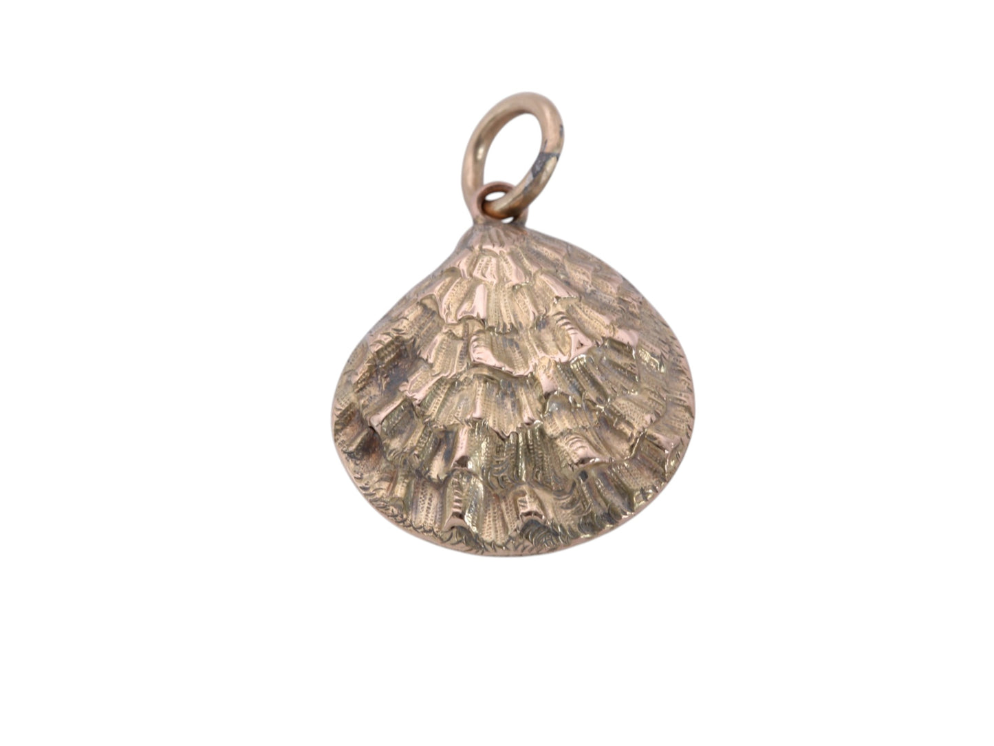 Victorian oyster shell pendant with removable 8mm keepsake compartment