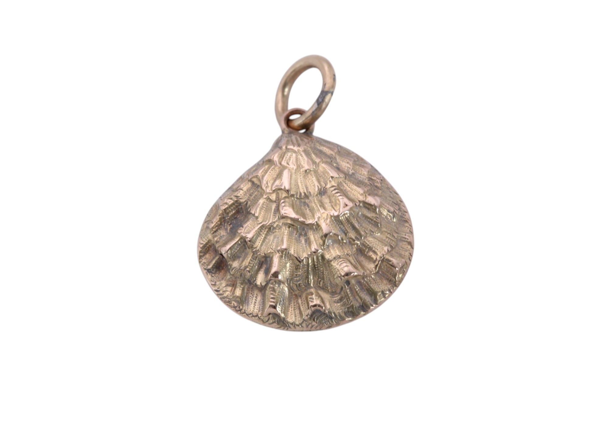 Victorian oyster shell pendant with removable 8mm keepsake compartment