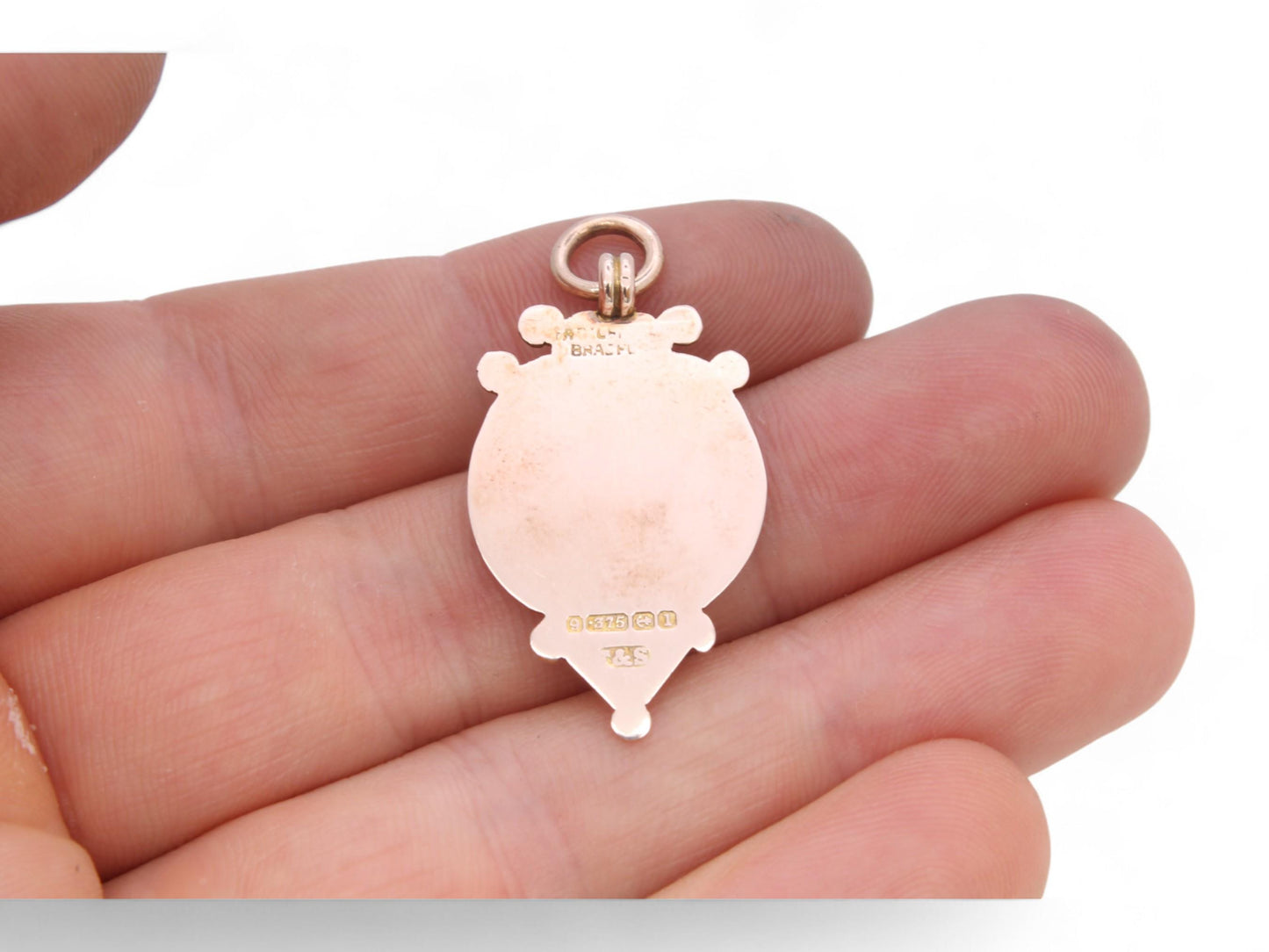 Antique-9ct-Gold-Lion-Enamel-Pendant