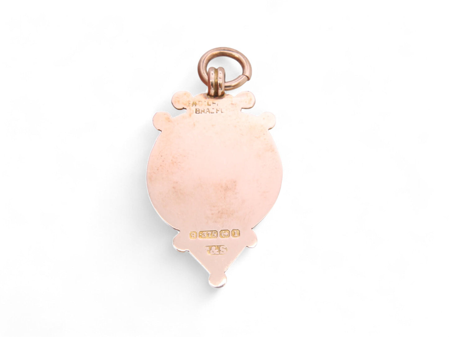 Antique 9ct Gold Lion Enamel Pendant