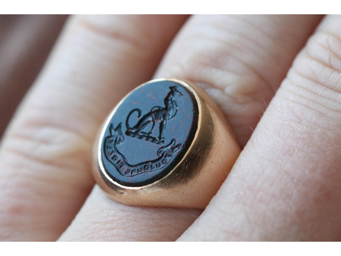 Antique 15ct Gold Bloodstone Intaglio Greyhound Crest 'Always Faithful' Signet Ring, Australian Colonial Hallmarks