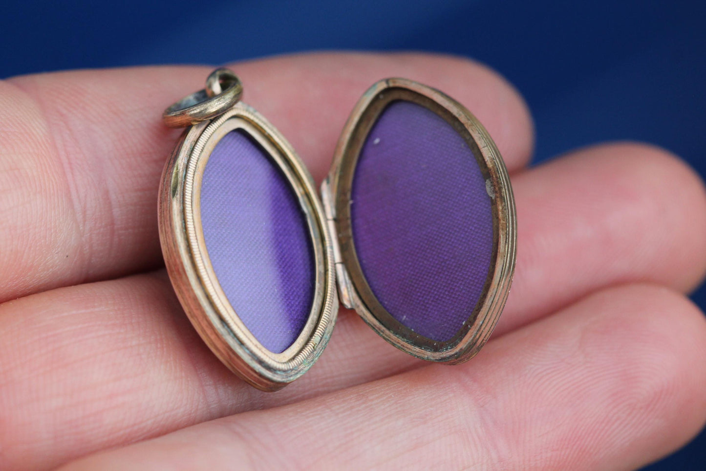 Antique 9ct Gold Bloodstone Chased Forget Me Not Locket