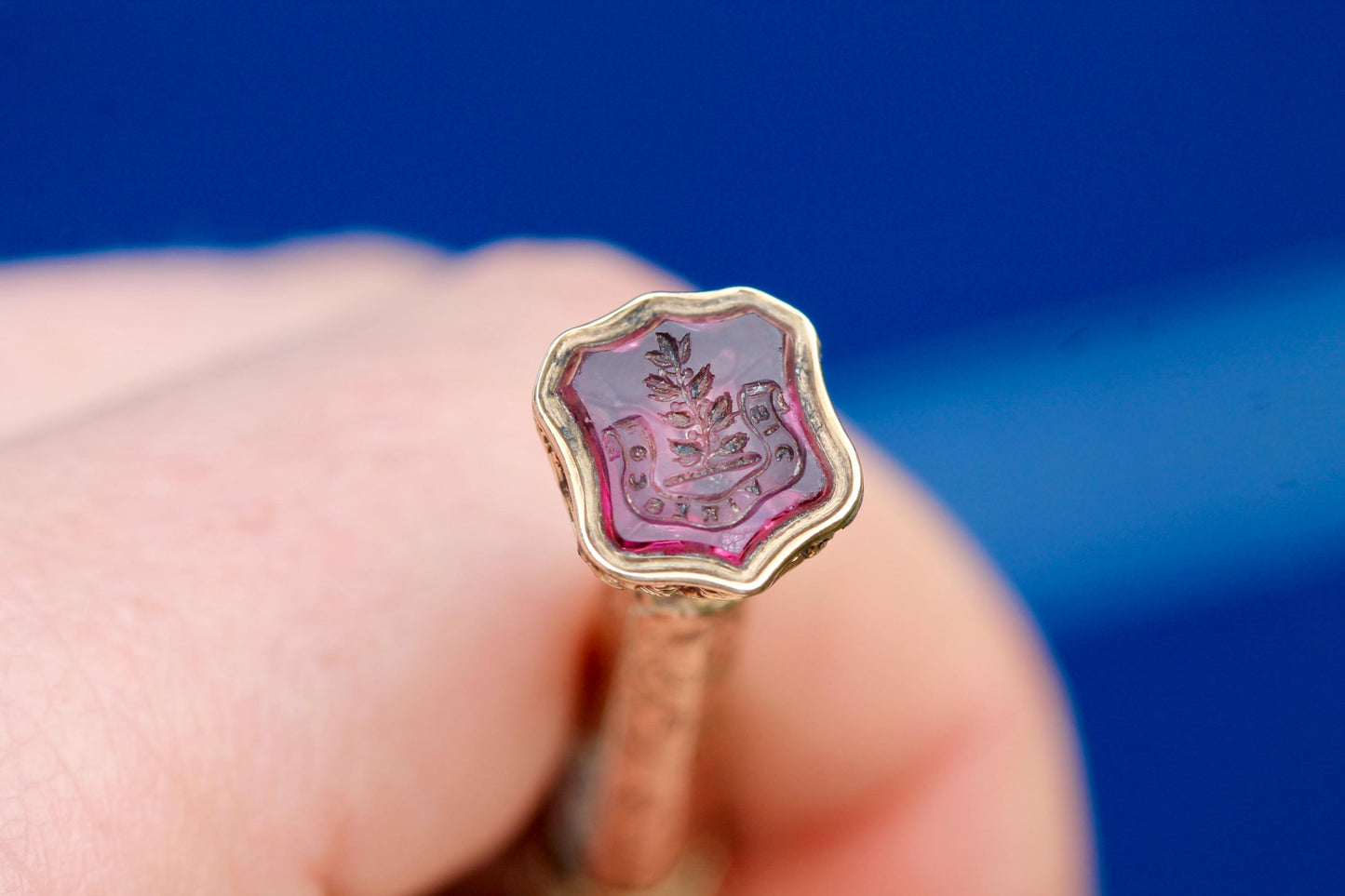 Antique 9ct Gold Sliding Pencil Amethyst Intaglio "Thus I flourish" Sic Viresco