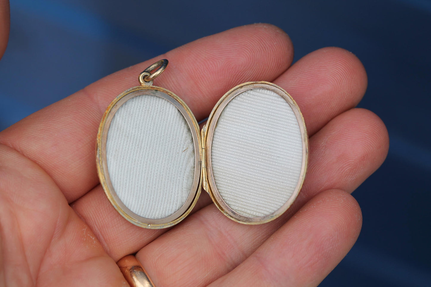 Antique Victorian 15ct Gold Locket | Forget-Me-Not & Fern Chasing | Fleur de Lis